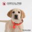 Tickless Pet Ultrasonic Tick & Flea Repellent