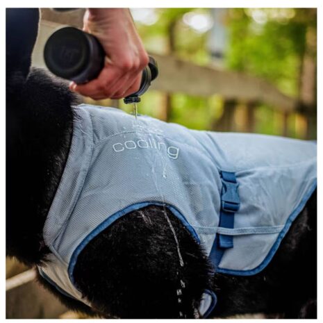 Kurgo XL Core Cooling Vest 2 Kurgo Core Cooling Vest
