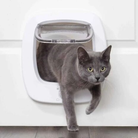 PetSafe Big Cat Flap 4 PetSafe Big Cat Flap