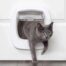 PetSafe Big Cat Flap