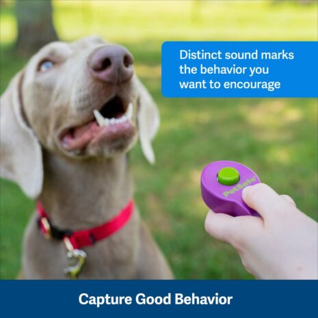 PetSafe Clik-R Dog Training Tool 3 PetSafe Clik-R Dog Training Tool