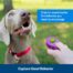 PetSafe Clik-R Dog Training Tool