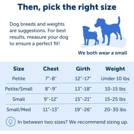 PetSafe Easy Walk No-Pull Dog Harness 3 PetSafe Easy Walk No-Pull Dog Harness - XS Raspberry
