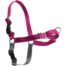 PetSafe Easy Walk No-Pull Dog Harness - XS Raspberry