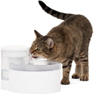 PetSafe Outlast 1.7 Litre Pumpless Pet Fountain 4 PetSafe Outlast 1.7 Litre Pumpless Pet Fountain