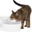 PetSafe Outlast 1.7 Litre Pumpless Pet Fountain
