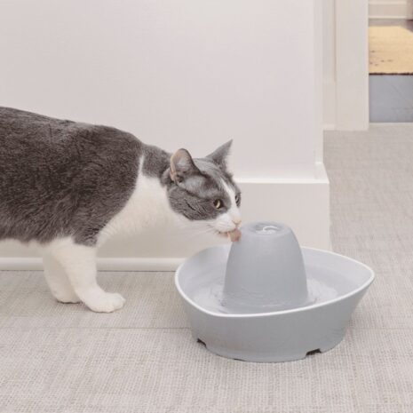 PetSafe Streamside Ceramic Pet Fountain 2 PetSafe Streamside Ceramic Pet Fountain