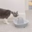 PetSafe Streamside Ceramic Pet Fountain