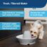 PetSafe Streamside Ceramic Pet Fountain