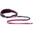 Rogz AirTech Sport S/M Belt And Lead - Sunset Pink