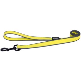 Rogz Amphibian Classic Medium Lead - Dayglo