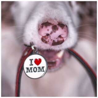 MyFamily Charms I Love Mom Small Pet ID Tag 2 MyFamily Charms I Love Mom Small Pet ID Tag