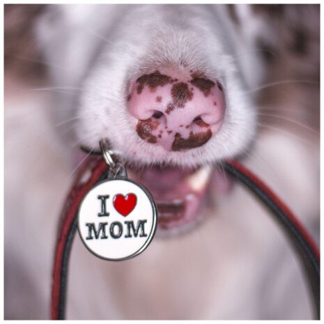 MyFamily Charms I Love Mom Small Pet ID Tag 2 MyFamily Charms I Love Mom Small Pet ID Tag