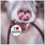MyFamily Charms I Love Mom Small Pet ID Tag