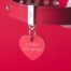 MyFamily Large Heart Pet ID Tag - Aluminium Red