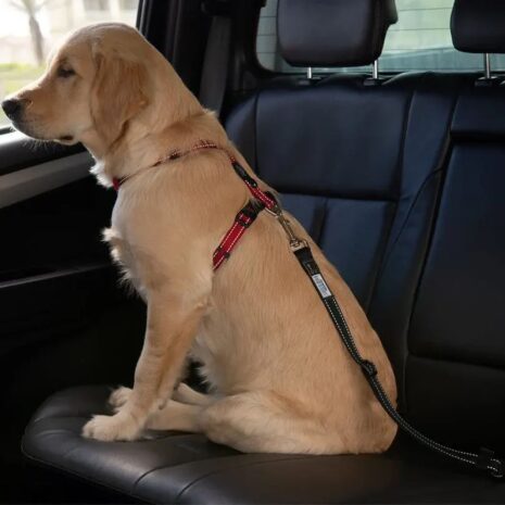 Rogz Car-Safe Adjustable Dog Seat Belt Clip 3 Rogz Car-Safe Adjustable Dog Seat Belt Clip