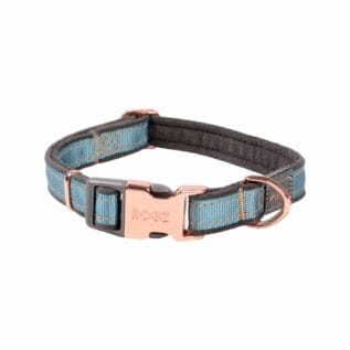 Rogz Urban Classic Small Dog Collar - Turquoise Moon