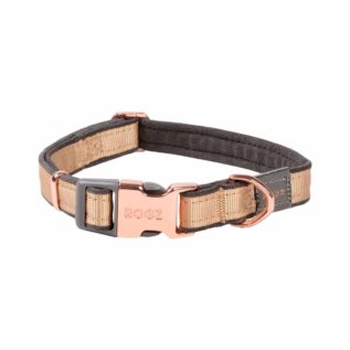Rogz Urban Classic XLarge Dog Collar - Gold Rush