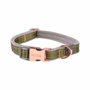 Rogz Urban Classic XLarge Dog Collar - Olive Twist