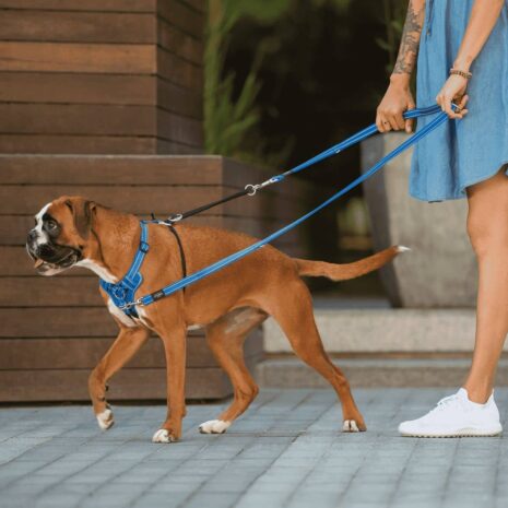 Rogz Utility Stop-Pull Medium Dog Harness Rogz Utility Stop-Pull Medium Dog Harness