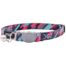 Rogz Catz FusionCat Safety Small Cat Collar - Geo Turquoise