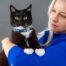 Rogz FashionCat Safety Release Small Cat Collar - Blue