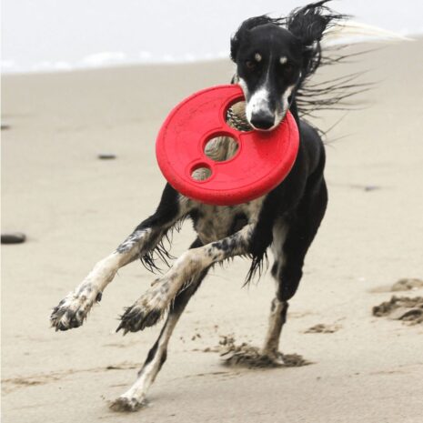Rogz RFO Fetch Flying Toy Red Rogz RFO Fetch Flying Toy Red