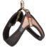 Rogz Urban Fast Fit Adjustable Medium Dog Harness - Gold Rush