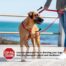 Rogz Utility Control Small Multi Dog Lead - Red