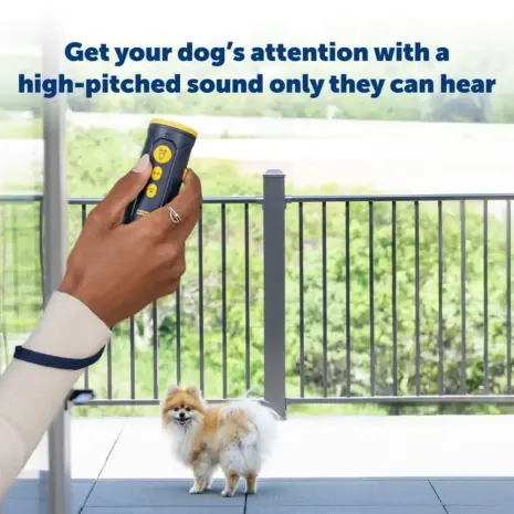 PetSafe Collarless Trainer - Ultrasonic Use PetSafe Collarless Trainer being used to get a small dog’s attention