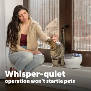 PetSafe HydroSphere White Fountain – Quiet Operation White PetSafe HydroSphere fountain beside a cat in a quiet room
