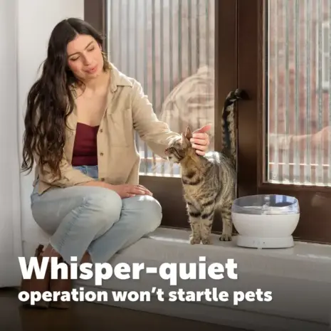 PetSafe HydroSphere White Fountain - Quiet Operation White PetSafe HydroSphere fountain beside a cat in a quiet room