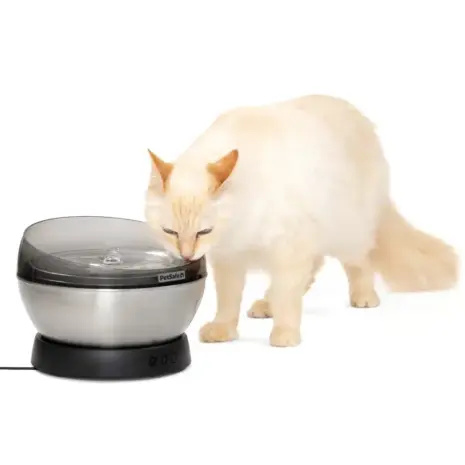 PetSafe HydroSphere Stainless Steel Pet Fountain PetSafe HydroSphere 1.7L stainless steel pet fountain with a cat drinking