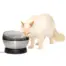 PetSafe HydroSphere 1.7L stainless steel pet fountain with a cat drinking