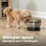 Small dog drinking from the PetSafe HydroSphere stainless steel fountain