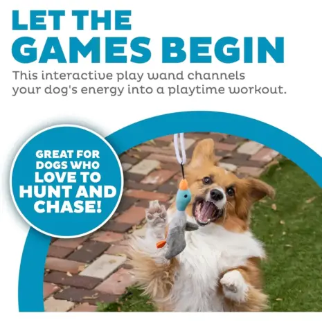 Outward Hound Tail Teaser Interactive Dog Wand Toy, Multi product view 2 Outward Hound Tail Teaser Interactive Dog Wand Toy, Multi product view 2