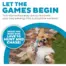 Outward Hound Tail Teaser Interactive Dog Wand Toy, Multi product view 2