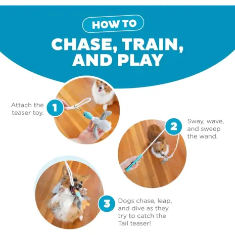 Outward Hound Tail Teaser Interactive Dog Wand Toy, Multi product view 4 Outward Hound Tail Teaser Interactive Dog Wand Toy, Multi product view 4