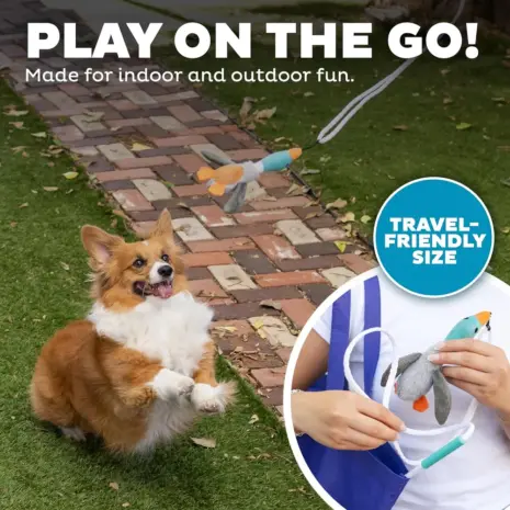 Outward Hound Tail Teaser Interactive Dog Wand Toy, Multi product view 5 Outward Hound Tail Teaser Interactive Dog Wand Toy, Multi product view 5