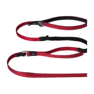 Rogz Utility Medium 16mm Snake Control Lead, Red Reflective buckle detail Close view of the Red Rogz Utility Control Lead hardware and webbing