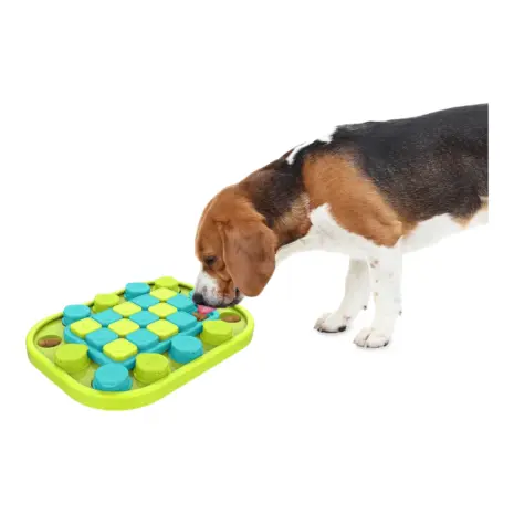 All For Paws Sudoku Treat Puzzle — dog exploring the puzzle All For Paws Sudoku Treat Puzzle — dog exploring the puzzle