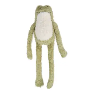 All For Paws Titan Gnaw Karla Frog Dog Toy — green frog with long arms and legs