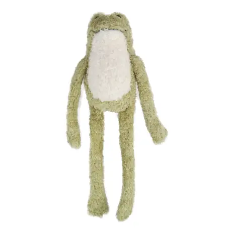 All For Paws Titan Gnaw Karla Frog Dog Toy — green frog with long arms and legs All For Paws Titan Gnaw Karla Frog Dog Toy — green frog with long arms and legs
