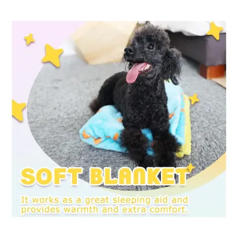 All For Paws Pups New Puppy Starter Kit — blanket and comfort companion All For Paws Pups New Puppy Starter Kit — blanket and comfort companion