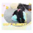 All For Paws Pups New Puppy Starter Kit — blanket and comfort companion