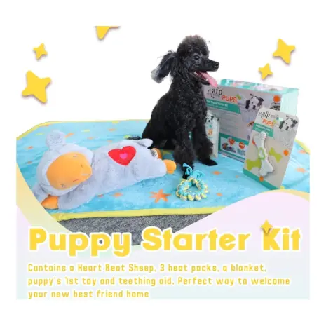 All For Paws Pups New Puppy Starter Kit — puppy comfort detail All For Paws Pups New Puppy Starter Kit — puppy comfort detail