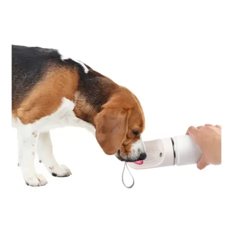 All For Paws 2-in-1 Stainless Pet Drinking Bottle — 400 ml — dog drinking from the cup All For Paws 2-in-1 Stainless Pet Drinking Bottle — 400 ml — dog drinking from the cup