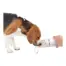 All For Paws 2-in-1 Stainless Pet Drinking Bottle — 400 ml — dog drinking from the cup