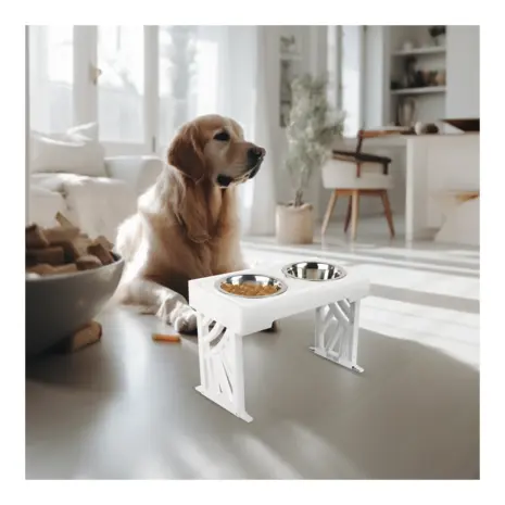 All For Paws Multi Height Double Dinner — dog beside the raised feeder All For Paws Multi Height Double Dinner — dog beside the raised feeder