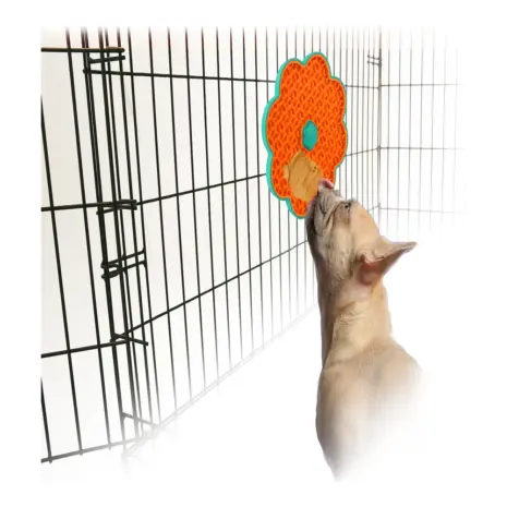 All For Paws Calming Pals Lick-A-Disc — dog using the disc on crate bars All For Paws Calming Pals Lick-A-Disc — dog using the disc on crate bars